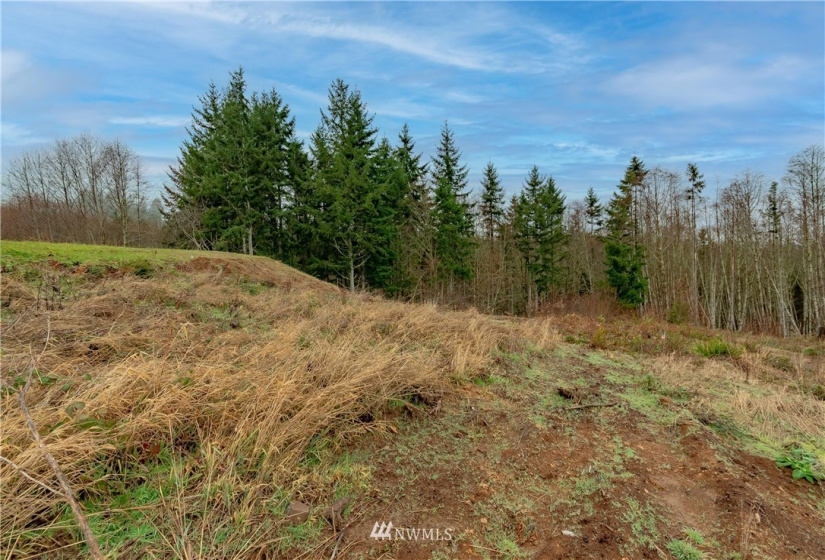520 Red Hawk, Castle Rock, Washington 98611, ,Land,For Sale,lot 3 of Shortplat 21-24,Red Hawk,NWM1881520