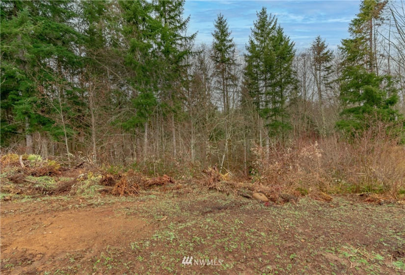 520 Red Hawk, Castle Rock, Washington 98611, ,Land,For Sale,lot 3 of Shortplat 21-24,Red Hawk,NWM1881520