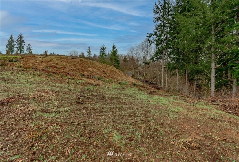 520 Red Hawk, Castle Rock, Washington 98611, ,Land,For Sale,lot 3 of Shortplat 21-24,Red Hawk,NWM1881520