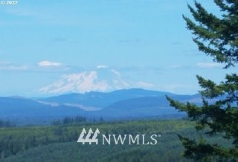 520 Red Hawk, Castle Rock, Washington 98611, ,Land,For Sale,lot 3 of Shortplat 21-24,Red Hawk,NWM1881520