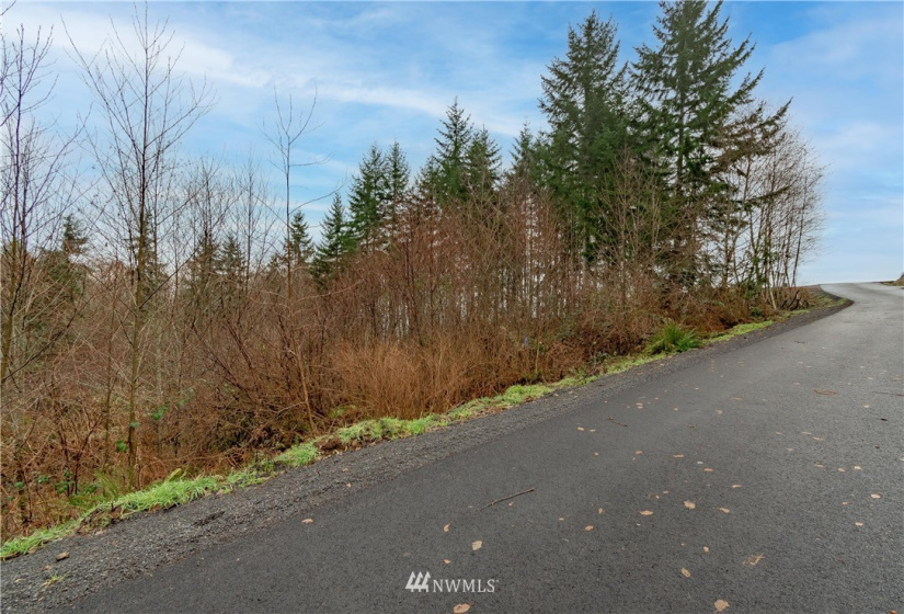 520 Red Hawk, Castle Rock, Washington 98611, ,Land,For Sale,lot 3 of Shortplat 21-24,Red Hawk,NWM1881520