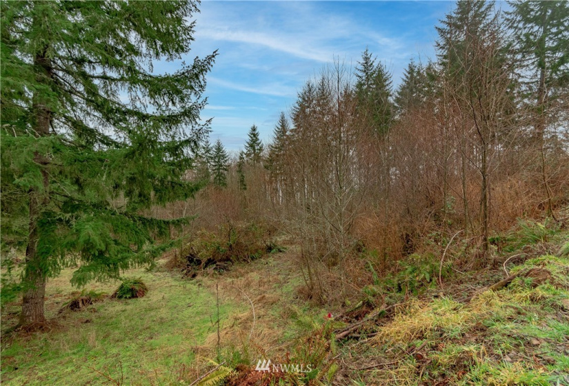 520 Red Hawk, Castle Rock, Washington 98611, ,Land,For Sale,lot 3 of Shortplat 21-24,Red Hawk,NWM1881520