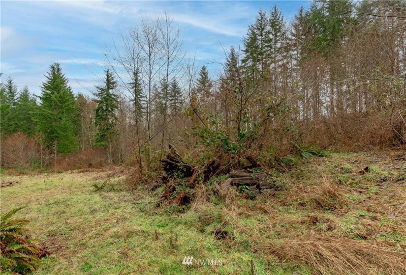 520 Red Hawk, Castle Rock, Washington 98611, ,Land,For Sale,lot 3 of Shortplat 21-24,Red Hawk,NWM1881520