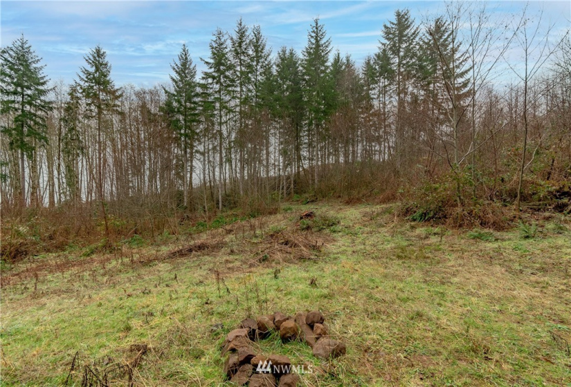 520 Red Hawk, Castle Rock, Washington 98611, ,Land,For Sale,lot 3 of Shortplat 21-24,Red Hawk,NWM1881520