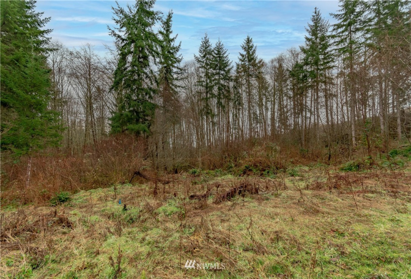 520 Red Hawk, Castle Rock, Washington 98611, ,Land,For Sale,lot 3 of Shortplat 21-24,Red Hawk,NWM1881520
