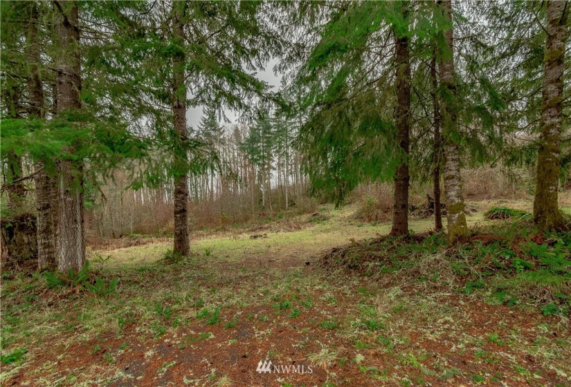520 Red Hawk, Castle Rock, Washington 98611, ,Land,For Sale,lot 3 of Shortplat 21-24,Red Hawk,NWM1881520