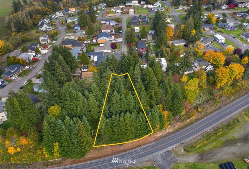 0 View, Napavine, Washington 98532, ,Land,For Sale,Fir Crest Second Add,View,NWM1878699