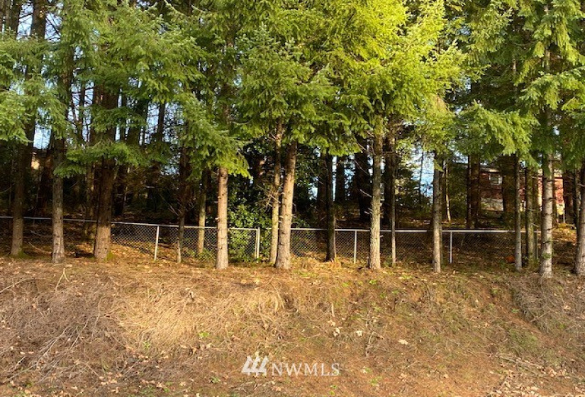 0 View, Napavine, Washington 98532, ,Land,For Sale,Fir Crest Second Add,View,NWM1878699