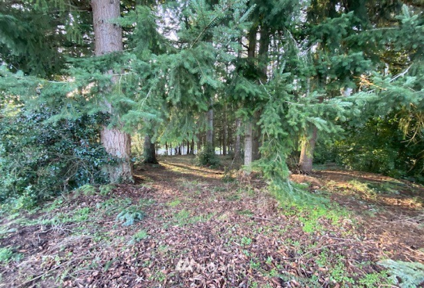 0 View, Napavine, Washington 98532, ,Land,For Sale,Fir Crest Second Add,View,NWM1878699