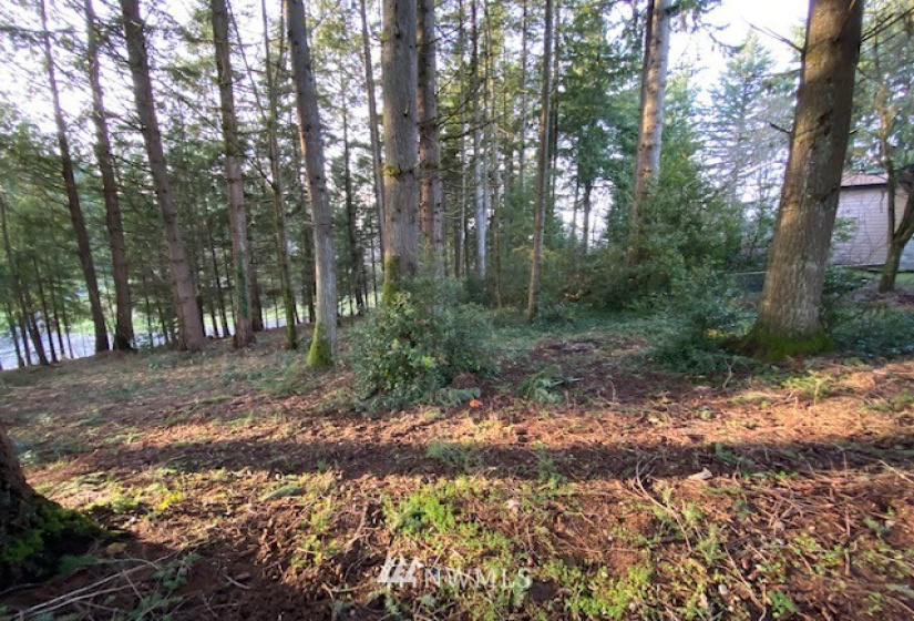0 View, Napavine, Washington 98532, ,Land,For Sale,Fir Crest Second Add,View,NWM1878699
