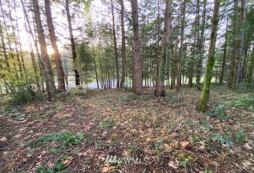 0 View, Napavine, Washington 98532, ,Land,For Sale,Fir Crest Second Add,View,NWM1878699