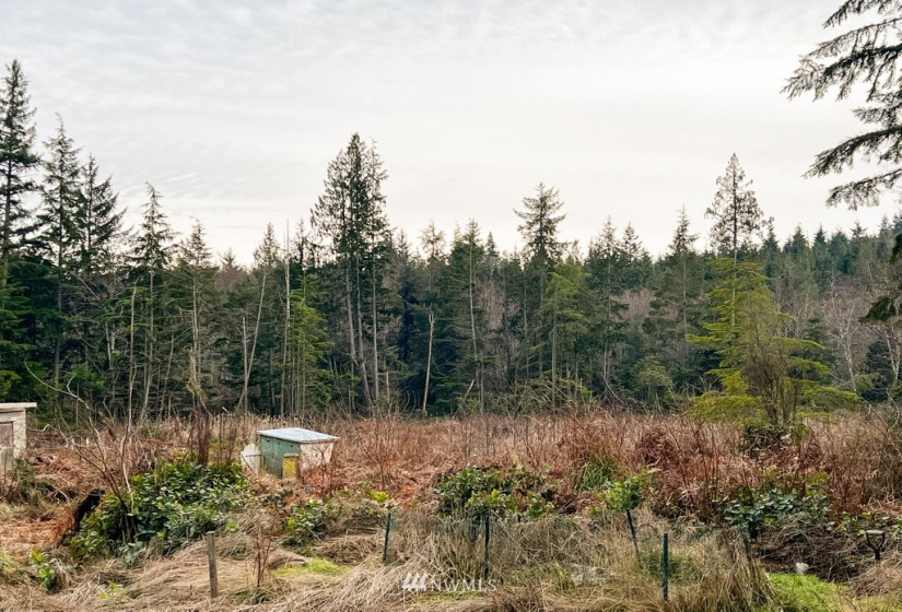 0 Empire Way, Oak Harbor, Washington 98277, ,Land,For Sale,Empire Way,NWM1878437