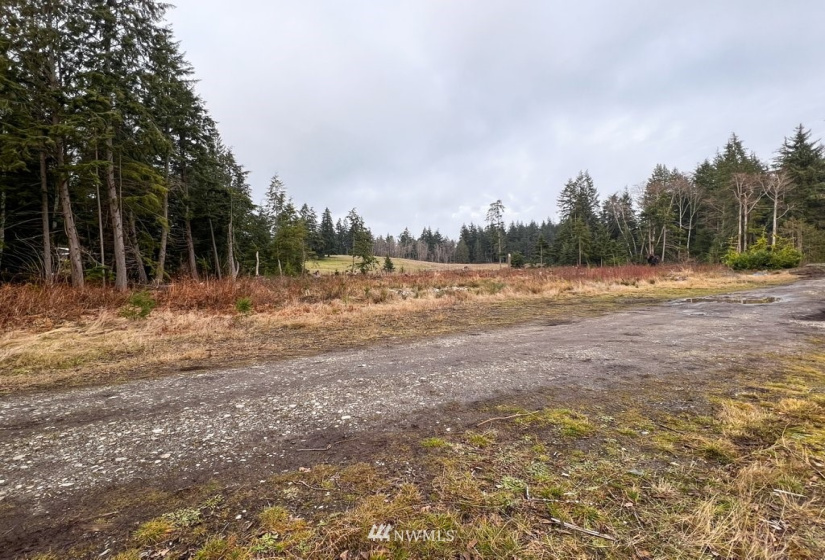 0 Empire Way, Oak Harbor, Washington 98277, ,Land,For Sale,Empire Way,NWM1878437