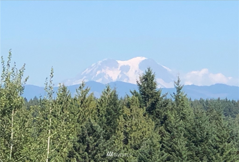 0 Eadon, Toledo, Washington 98591, ,Land,For Sale,Eadon,NWM1880477