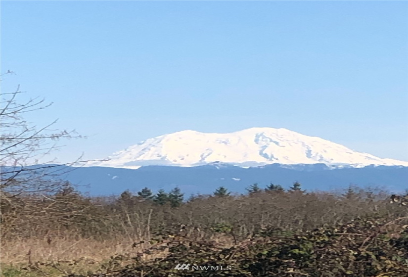 0 Eadon, Toledo, Washington 98591, ,Land,For Sale,Eadon,NWM1880477