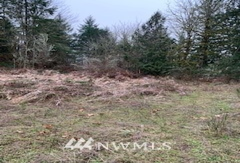 0 Eadon, Toledo, Washington 98591, ,Land,For Sale,Eadon,NWM1880477