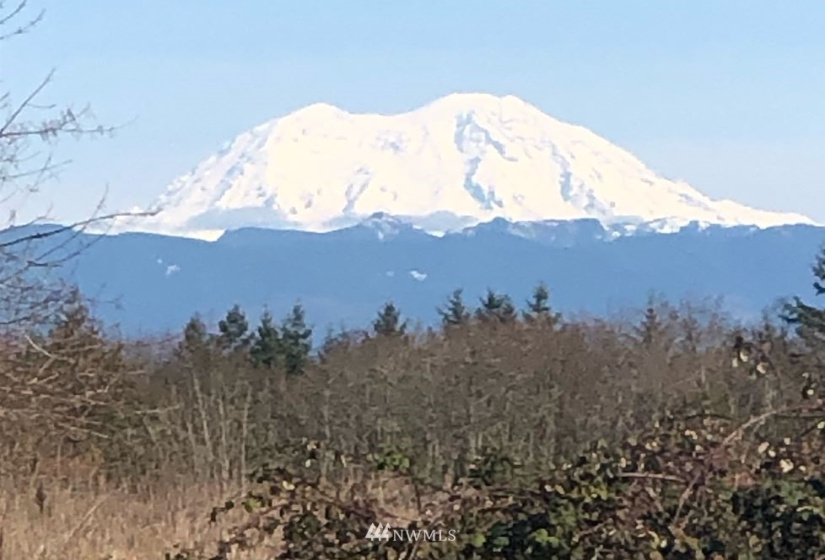 0 Eadon, Toledo, Washington 98591, ,Land,For Sale,Eadon,NWM1880477