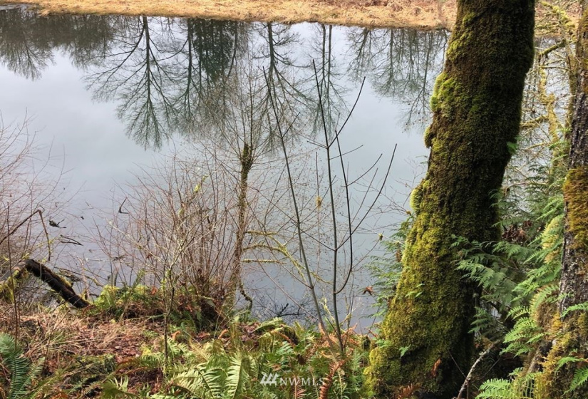 0 Eadon, Toledo, Washington 98591, ,Land,For Sale,Eadon,NWM1880477