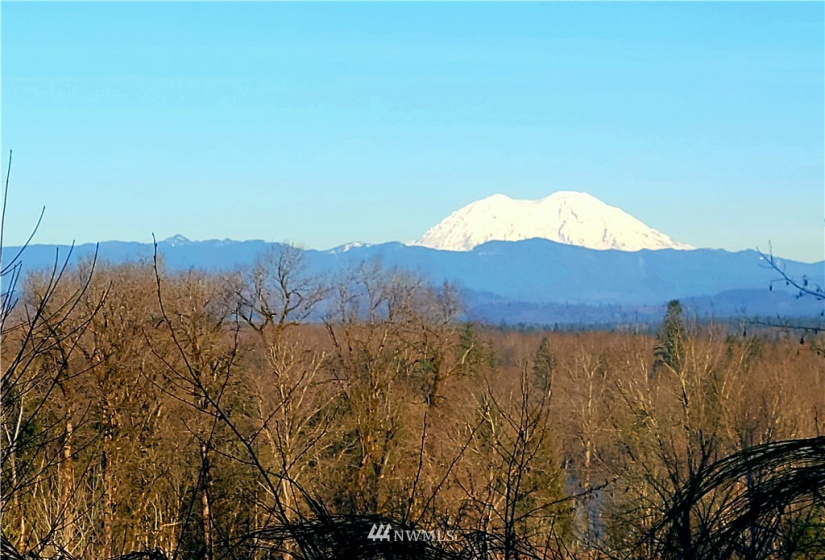 0 Eadon, Toledo, Washington 98591, ,Land,For Sale,Eadon,NWM1880477