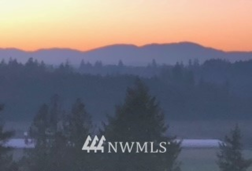 0 Eadon, Toledo, Washington 98591, ,Land,For Sale,Eadon,NWM1880477