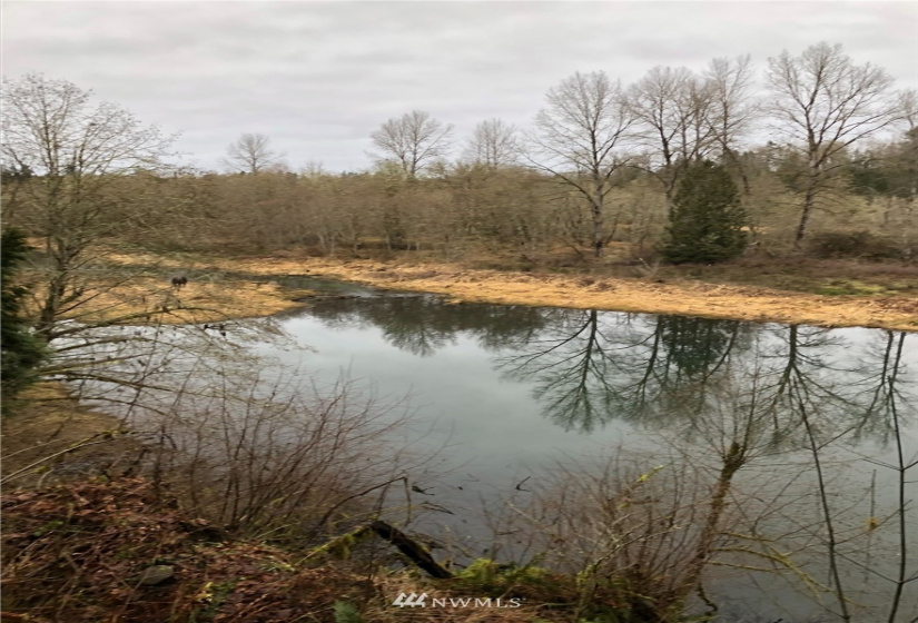 0 Eadon, Toledo, Washington 98591, ,Land,For Sale,Eadon,NWM1880477