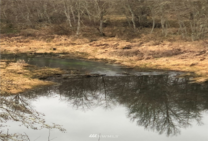 0 Eadon, Toledo, Washington 98591, ,Land,For Sale,Eadon,NWM1880477