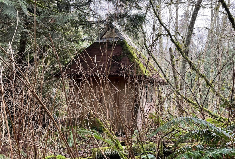 0 SR 9, Mount Vernon, Washington 98274, ,Land,For Sale,SR 9,NWM1880670