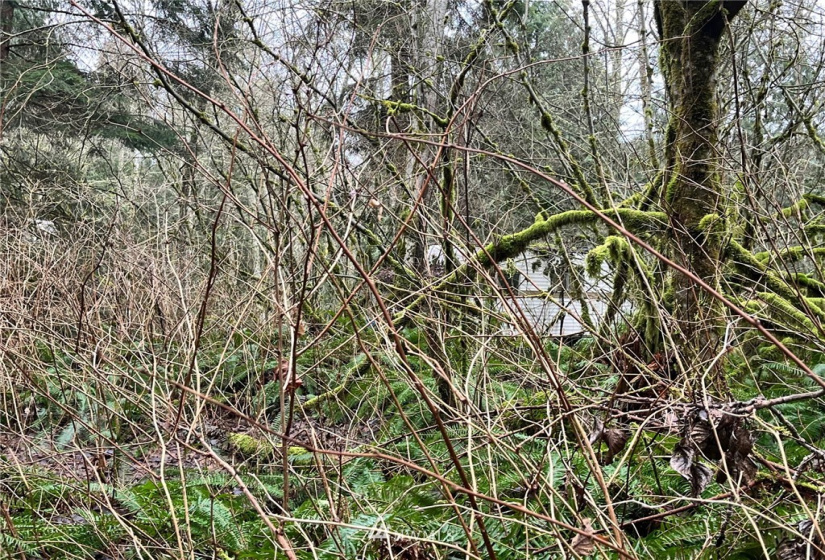 0 SR 9, Mount Vernon, Washington 98274, ,Land,For Sale,SR 9,NWM1880670