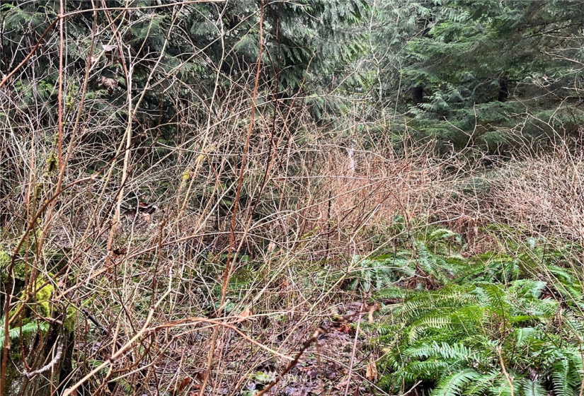 0 SR 9, Mount Vernon, Washington 98274, ,Land,For Sale,SR 9,NWM1880670