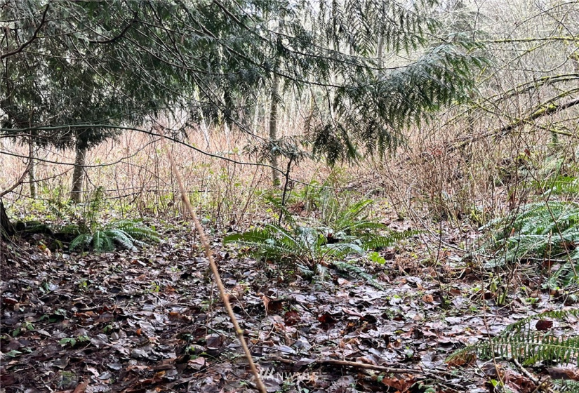 0 SR 9, Mount Vernon, Washington 98274, ,Land,For Sale,SR 9,NWM1880670