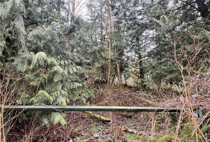 0 SR 9, Mount Vernon, Washington 98274, ,Land,For Sale,SR 9,NWM1880670