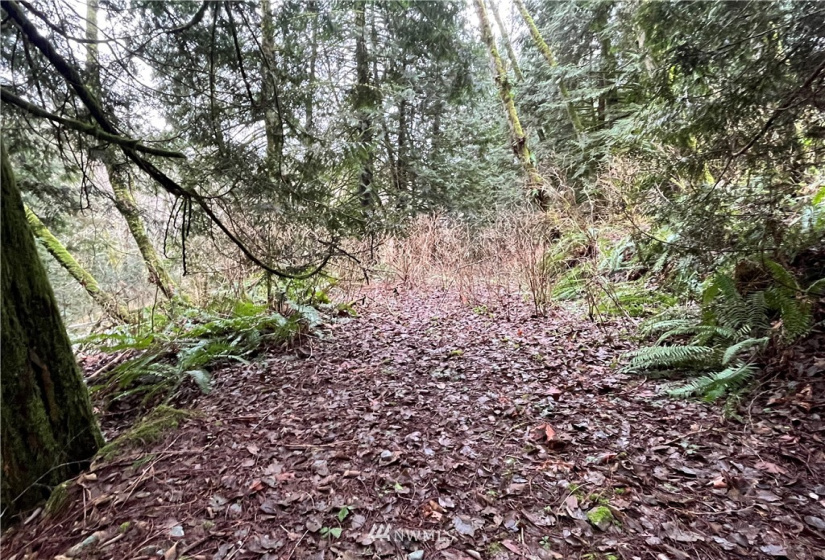 0 SR 9, Mount Vernon, Washington 98274, ,Land,For Sale,SR 9,NWM1880670