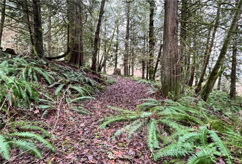 0 SR 9, Mount Vernon, Washington 98274, ,Land,For Sale,SR 9,NWM1880670