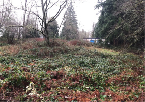 17122 20th, Snohomish, Washington 98290, ,Residential,For Sale,20th,NWM1881669