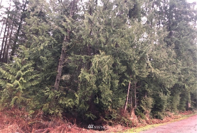 17122 20th, Snohomish, Washington 98290, ,Residential,For Sale,20th,NWM1881669