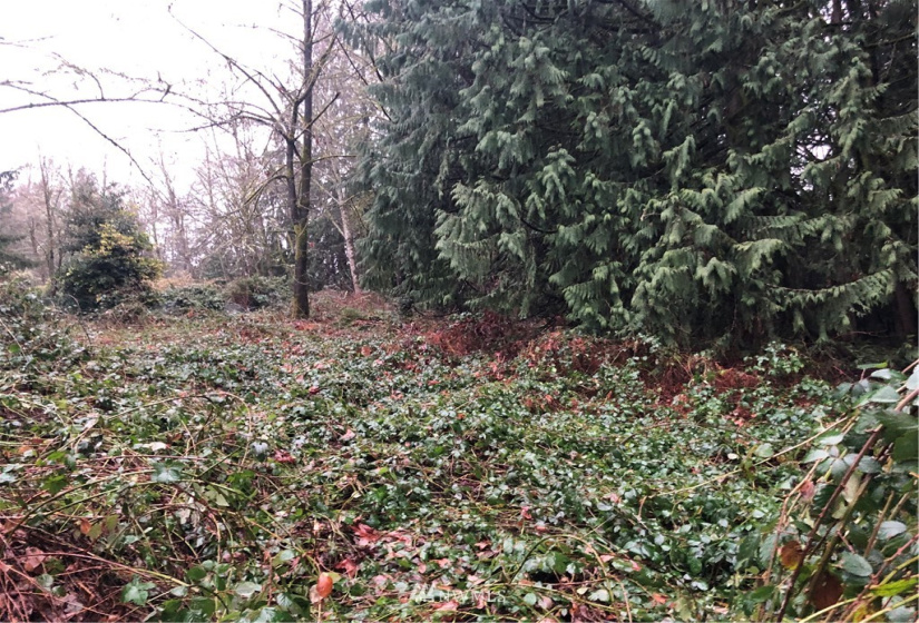 17122 20th, Snohomish, Washington 98290, ,Residential,For Sale,20th,NWM1881669