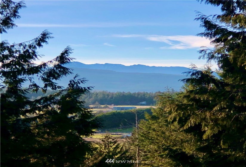 0 NNN Fox Hollow Rd, Sequim, Washington 98382, ,Land,For Sale,Highland Hills,NNN Fox Hollow Rd,NWM1881636