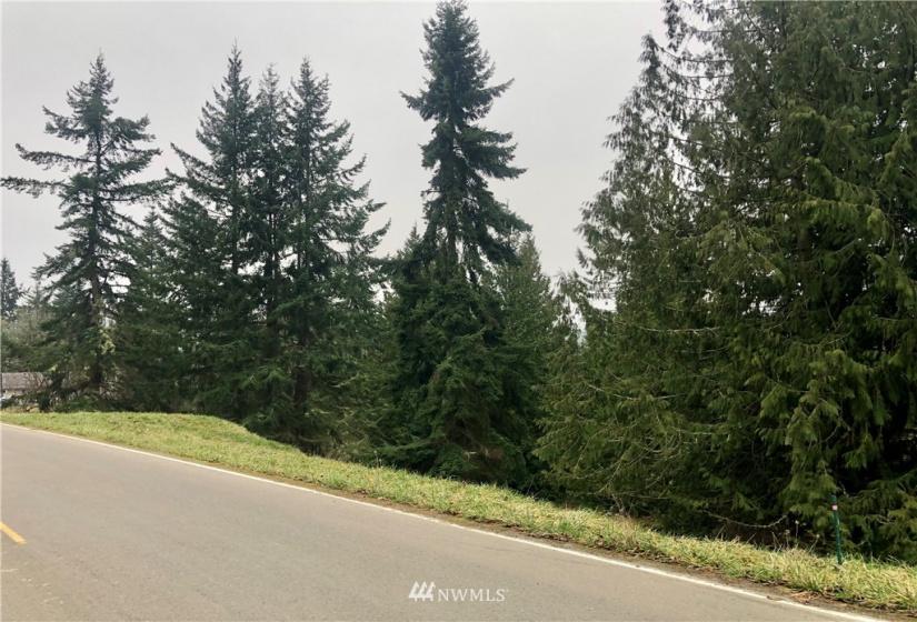 0 NNN Fox Hollow Rd, Sequim, Washington 98382, ,Land,For Sale,Highland Hills,NNN Fox Hollow Rd,NWM1881636