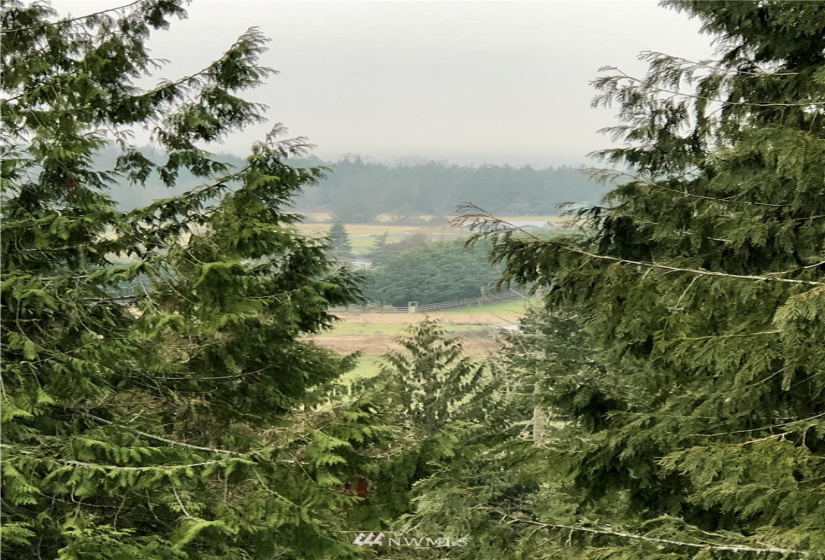 0 NNN Fox Hollow Rd, Sequim, Washington 98382, ,Land,For Sale,Highland Hills,NNN Fox Hollow Rd,NWM1881636