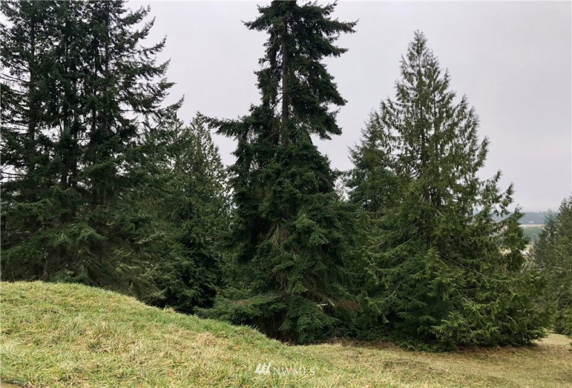 0 NNN Fox Hollow Rd, Sequim, Washington 98382, ,Land,For Sale,Highland Hills,NNN Fox Hollow Rd,NWM1881636