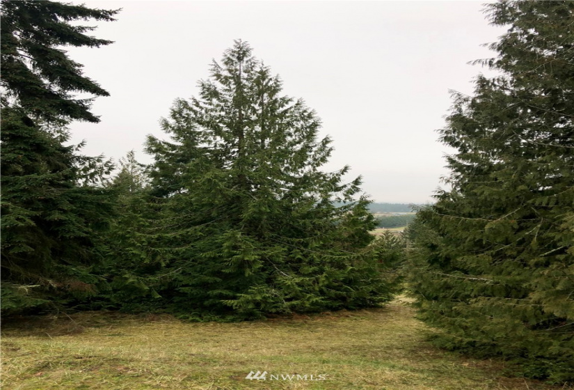 0 NNN Fox Hollow Rd, Sequim, Washington 98382, ,Land,For Sale,Highland Hills,NNN Fox Hollow Rd,NWM1881636