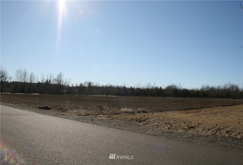 2160 Buchanan Loop Tract 8, Ferndale, Washington 98248, ,Commercial Sale,For Sale,Buchanan Loop Tract 8,NWM1555056