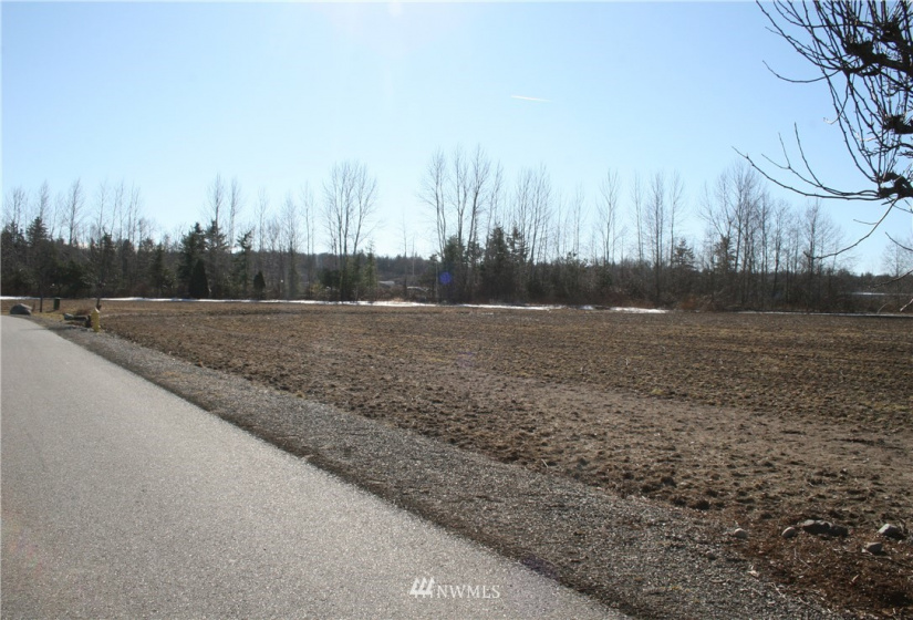 2160 Buchanan Loop Tract 8, Ferndale, Washington 98248, ,Commercial Sale,For Sale,Buchanan Loop Tract 8,NWM1555056