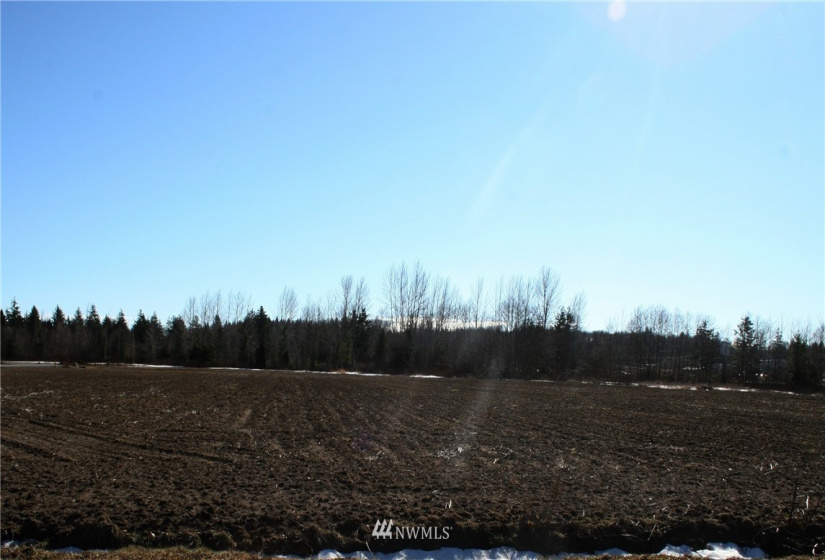 2160 Buchanan Loop Tract 8, Ferndale, Washington 98248, ,Commercial Sale,For Sale,Buchanan Loop Tract 8,NWM1555056