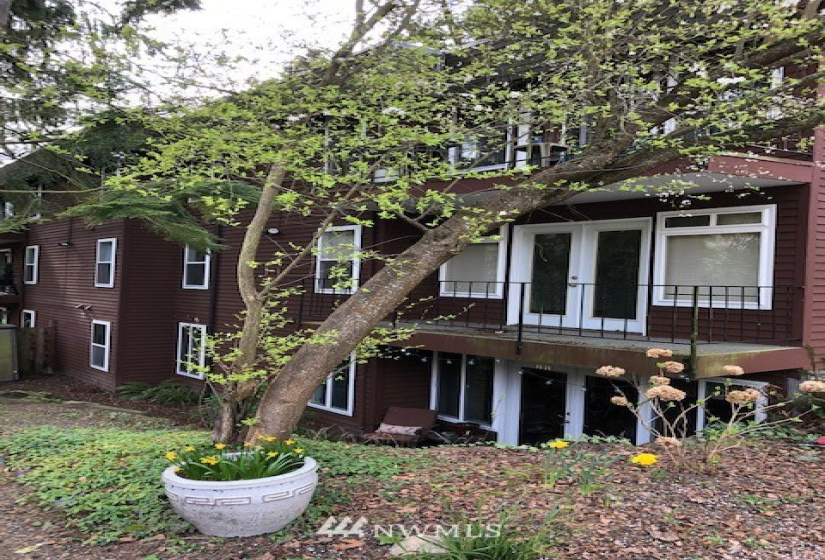 4201 35th, Seattle, Washington 98199, 2 Bedrooms Bedrooms, ,Residential Lease,For Rent,35th,NWM1881914