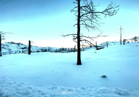 0 Jacktar, Riverside, Washington 98849, ,Land,For Sale,Jacktar,NWM1881925