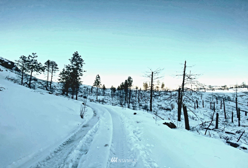 0 Jacktar, Riverside, Washington 98849, ,Land,For Sale,Jacktar,NWM1881925