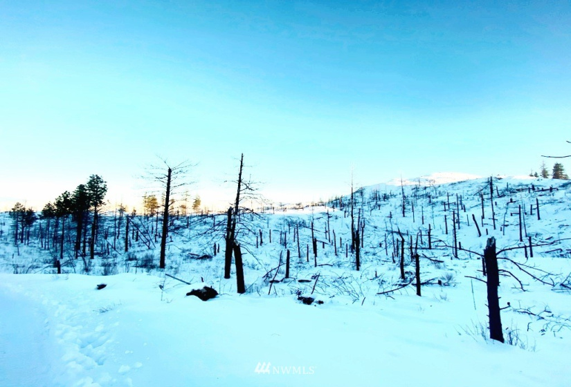 0 Jacktar, Riverside, Washington 98849, ,Land,For Sale,Jacktar,NWM1881925