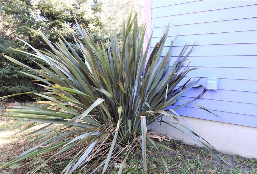 30812 J, Ocean Park, Washington 98640, 2 Bedrooms Bedrooms, ,1 BathroomBathrooms,Residential,For Sale,DV-3,J,NWM1881906