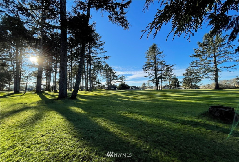 245 Dolphin, Ocean Shores, Washington 98569, 2 Bedrooms Bedrooms, ,1 BathroomBathrooms,Residential,For Sale,3,Dolphin,NWM1882020